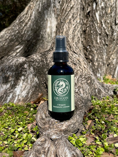 7 Dragons Herbal Liniment - 4oz (Glass Bottle)
