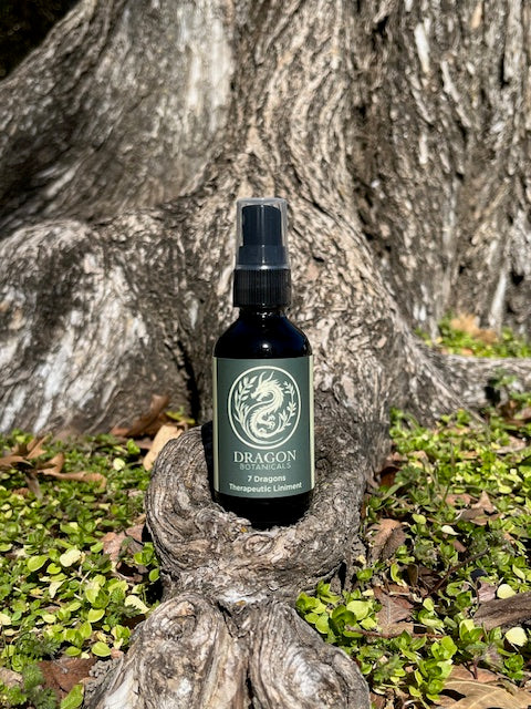 A 2oz glass bottle of 7 Dragons Herbal Liniment placed on a natural outdoor setting with trees and foliage in the background.